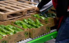 ���� �ƺ�ī��, �ѱ��� ���� �ƽþ� ���� �����ء� ������ ���� �𵨷� �ָ�